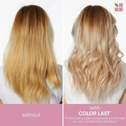 Matrix Biolage Color Last Purple Shampoo and Orchid Conditioner Set - 13.5 oz ea