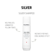 Goldwell Dualsenses Silver Shampoo & Conditioner Duo