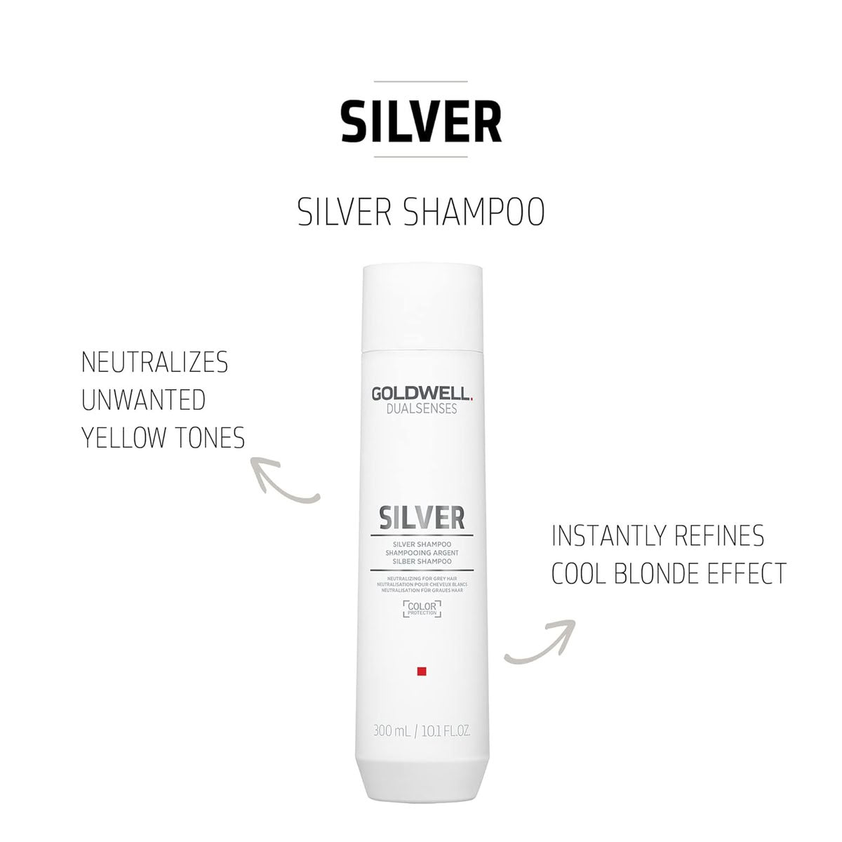 Goldwell Dualsenses Silver Shampoo & Conditioner Duo