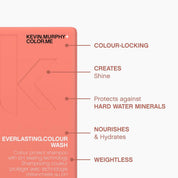 Kevin Murphy EVERLASTING.COLOUR WASH 8.4 Oz