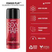 Big Sexy Hair Powder Play Volumizing and Texturizing Powder 0.53 Oz - iShampoos