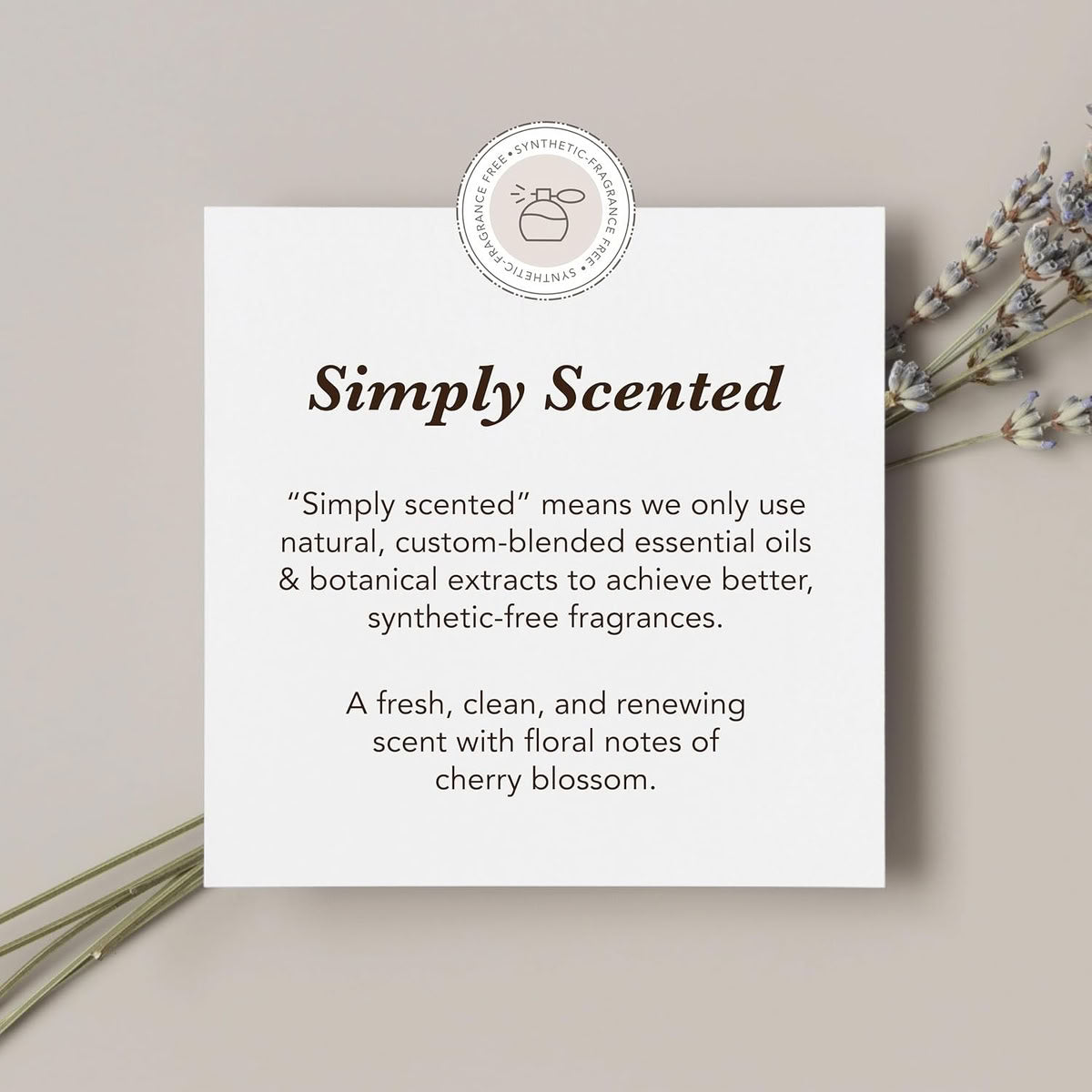 Shibui Everydayness Conditioner