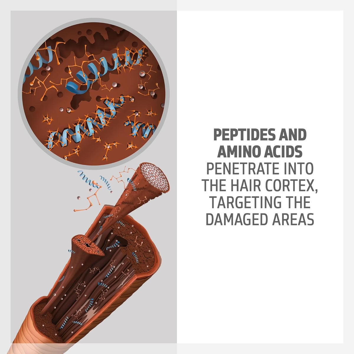 Goldwell Dualsenses Bond Pro 60Sec Treatment