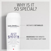Goldwell Dualsenses Just Smooth Conditioner