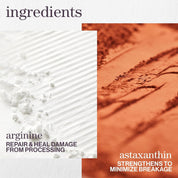 Pureology Strength Cure Shampoo & Conditioner Duo