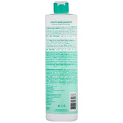 Framesi Color Lover Smooth Shine Shampoo