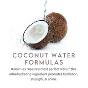 Aluram Coconut Water Purple Shampoo