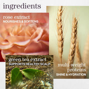 Pureology Hydrate Shampoo - For Dry or Color Treated Hair