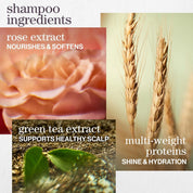 Pureology Hydrate Shampoo & Conditioner Duo