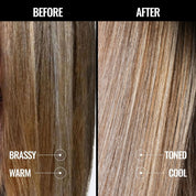Pravana Perfect Blonde Purple Toning Shampoo and Conditioner Duo Set