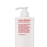 EVO Mane Attention Protein Treatment
