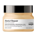 L'Oreal Professionnel Absolut Repair Instant Mask