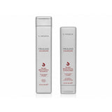 L'anza Healing Color Care Silver Brightening Shampoo & Conditioner 10.1/8.5 oz Duo