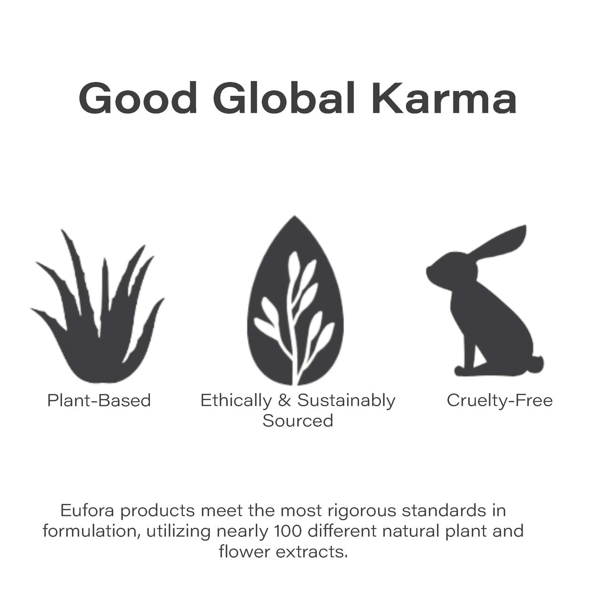 Eufora Frizz Control Conditioner