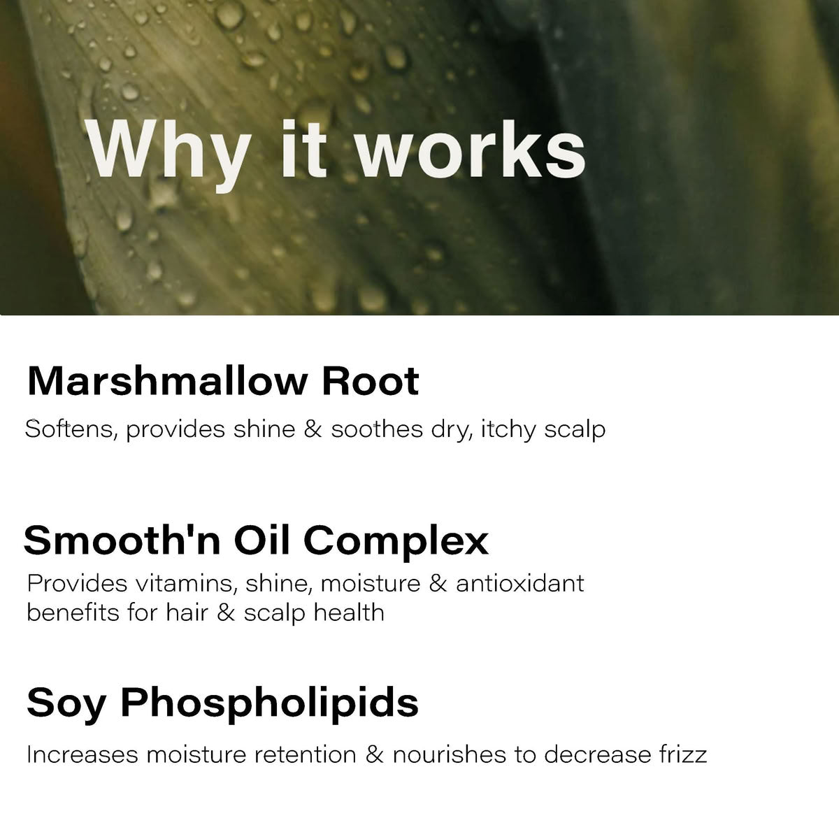 Eufora Frizz Control Conditioner